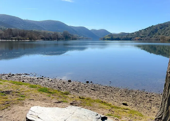 Junkeira - Casa, Douro E Campo * Junqueira